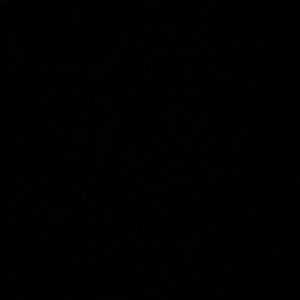 Meet your Posher, Caprice